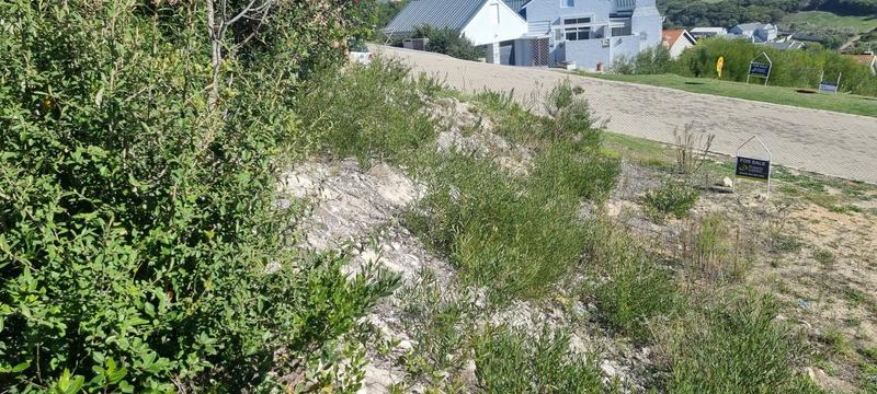 0 Bedroom Property for Sale in Groot Brakrivier Central Western Cape